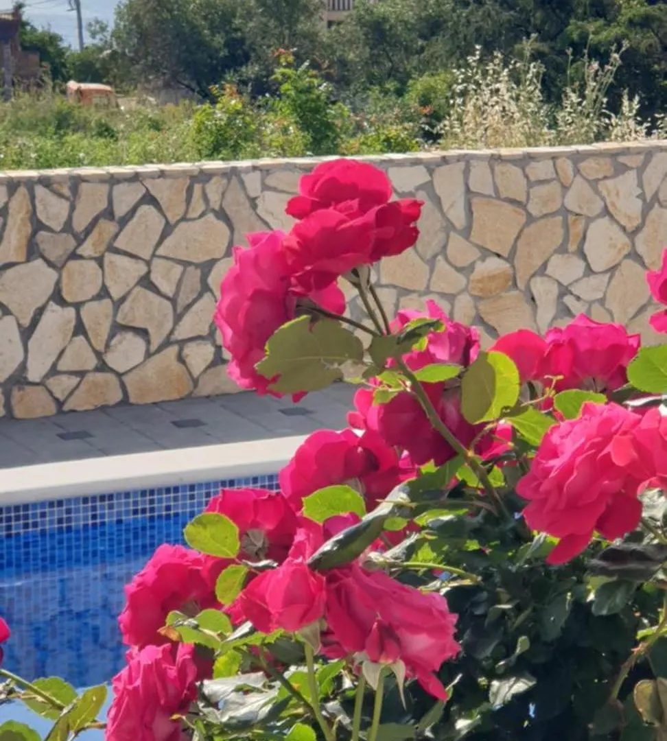 Apartments Slavica Trogir 0*,