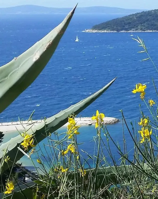 Apartments Slavica Trogir
